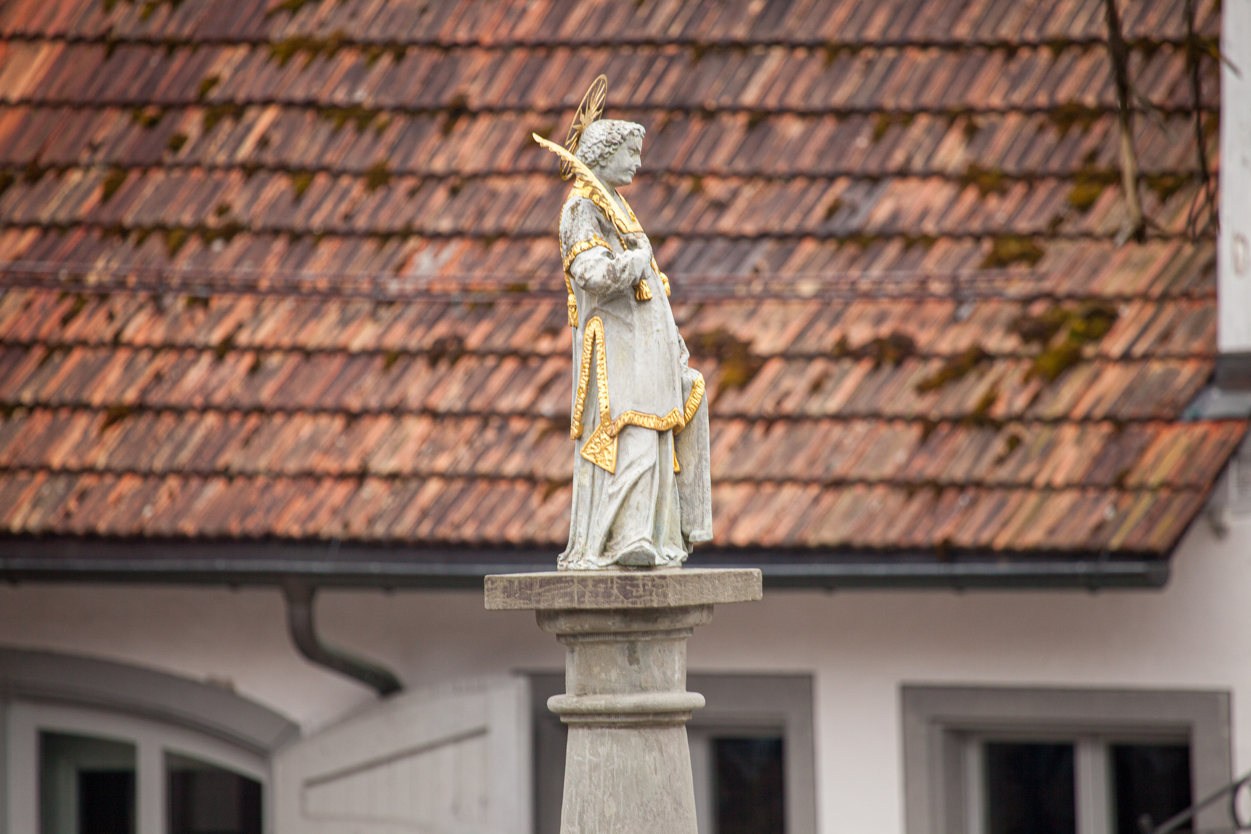 20110313134255 IMG 7313